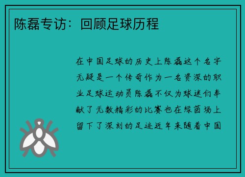 陈磊专访：回顾足球历程