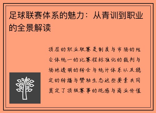 足球联赛体系的魅力：从青训到职业的全景解读