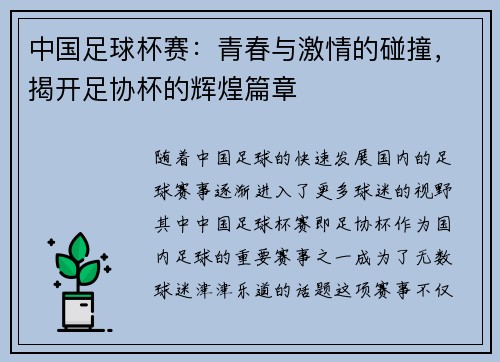 中国足球杯赛：青春与激情的碰撞，揭开足协杯的辉煌篇章